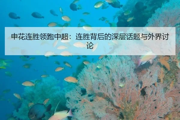 申花连胜领跑中超：连胜背后的深层话题与外界讨论